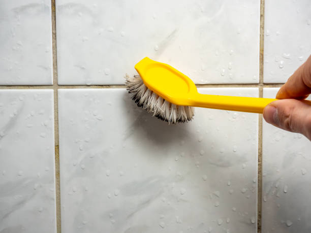Best Professional Mold Removal  in Cedar Lake, IN