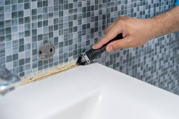 Best Mold Remediation Experts  in Cedar Lake, IN