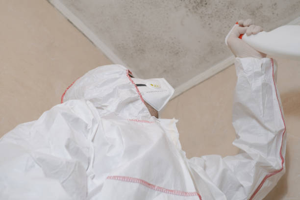 Mold Removal Process in Cedar Lake, IN